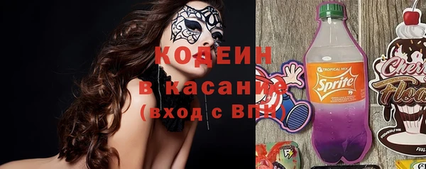 твердый Аркадак