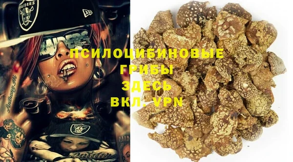твердый Аркадак